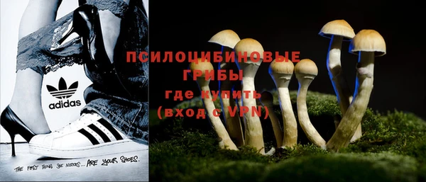 ALPHA-PVP Краснослободск