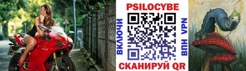 Галлюциногенные грибы Magic Shrooms  Купить закладки  Архангельск 